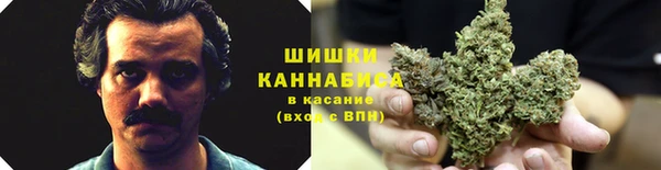 твердый Володарск