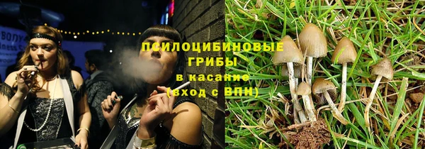 твердый Володарск