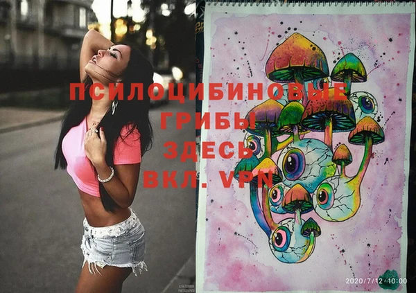 твердый Володарск